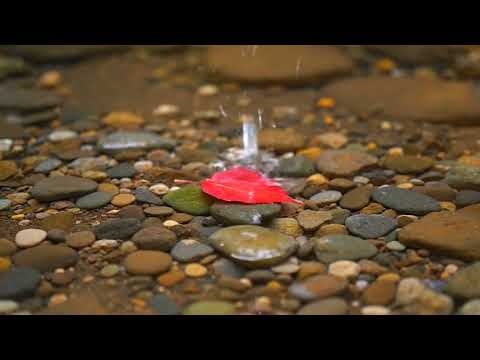 Minimal Tsukubai (2H40M) — Clean Zen Water Sounds | Deep Work & Sleep