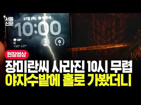 장미란씨 사라진 밤 10시 무렵…남성 기자 혼자 찾은 현장은 '오싹'