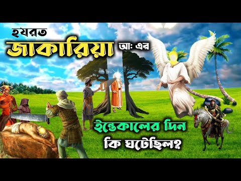 হযরত জাকারিয়া আ: এর মৃ:ত্যুর অলৌকিক ঘটনা || Hazrat Zakariya AS