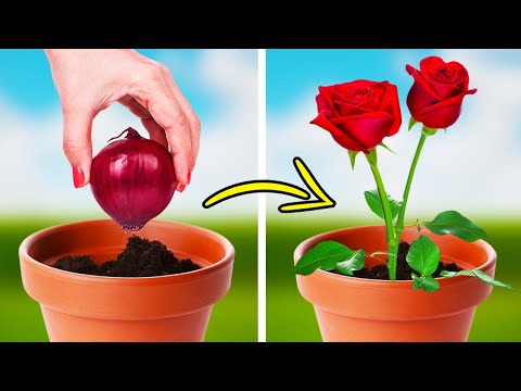 INCREDIBLE GARDENING TIPS AND GROWING HACKS FOR PLANT LOVERS