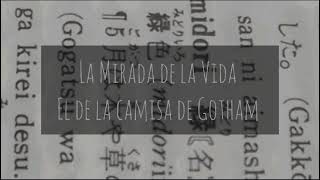 La Mirada De  La Vida- El de la Camisa de Gotham
