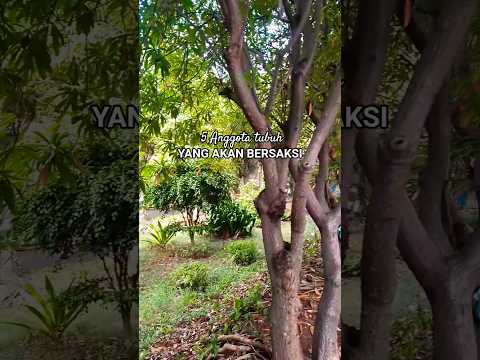 5 Anggota tubuh yg akan bersaksi di akhirat #ceramahsingkat #viral #video #viralvideo #inspiration