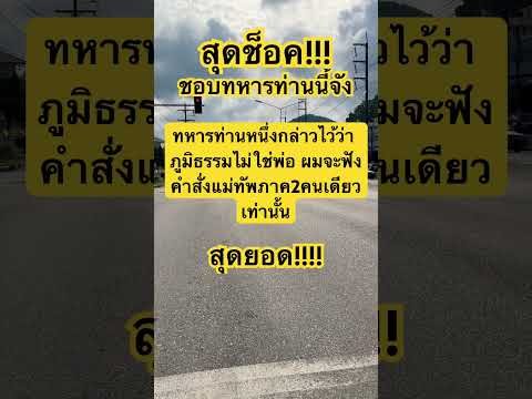 สุดยอด #เอ็มสีนวนแมวจร