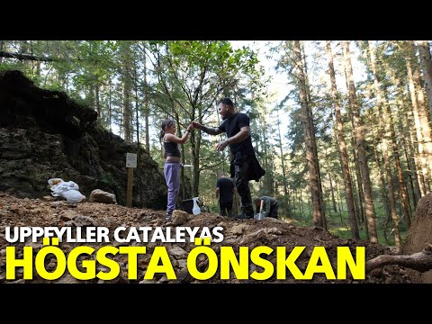 Hittar ovanliga fynd i skogen - VLOGG