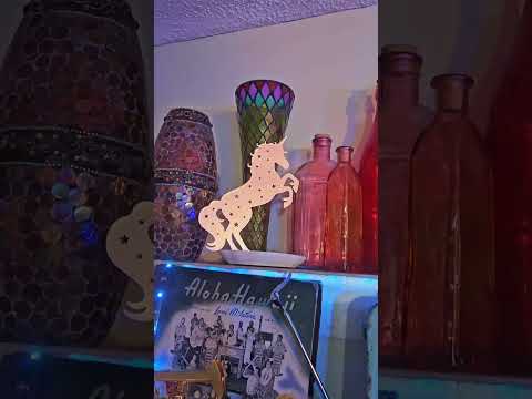 The Unicorn - the Irish Rovers #unicorn #ajfortuna #mindtribe #mind444 #spirtual #irishfolksongs