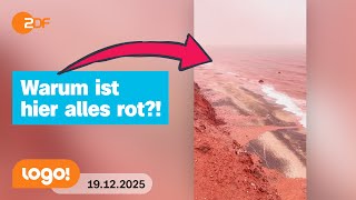 Iran: Seltenes Naturschauspiel färbt Meer rot | logo!-Nachrichten vom 19.12.25