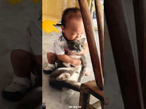 The end 😂 #pet #funny #shortsfeed  #cute #viralshorts#ytshorts