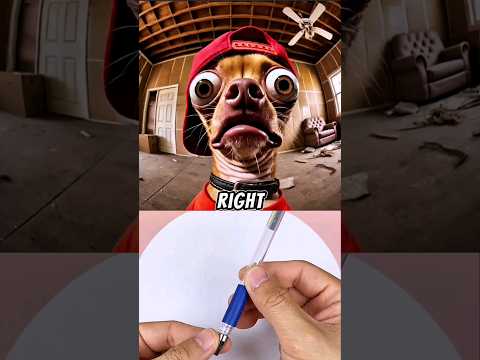 Chihuahuas new home went wrong 😂 Sound #GamerChadPlays #memes