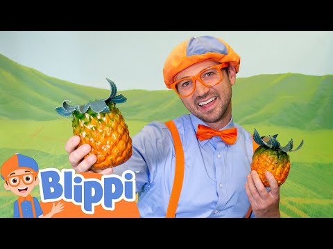 Blippi Discovers Tasty Hawaiian Food! 🌴🍍 | Fun & Educational for Kids