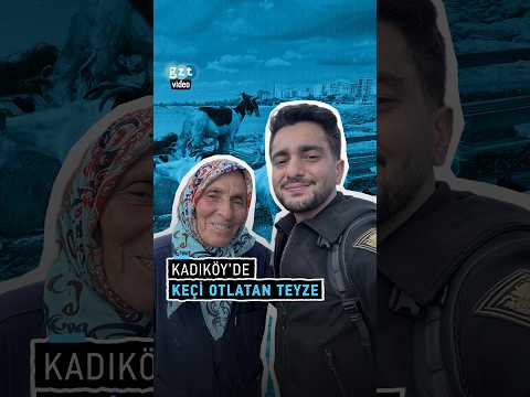İstanbul'un göbeğinde çobanlık: Kadıköy Bostancı Sahili'nde keçi otlatan teyze
