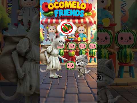 The poor cat has no money 🐱💔💸 #shorts