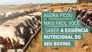 AGORA FICOU MAIS FÁCIL VOCÊ SABER A EXIGÊNCIA NUTRICIONAL DO SEU BOVINO.