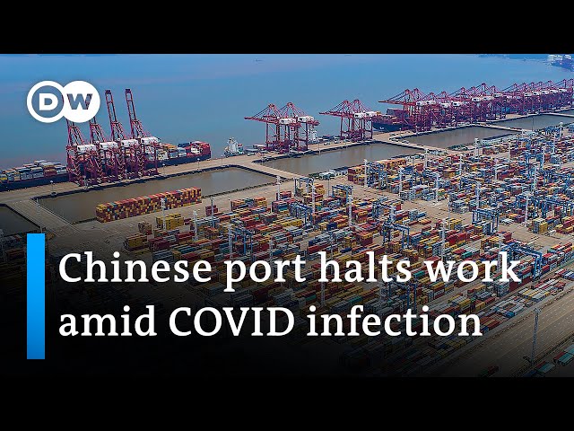 Port closures in China hamper global supply chains 