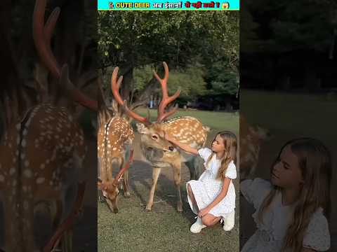 Cute Deer 🦌|| #shorts
