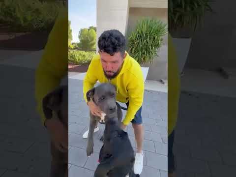 Más contento no puedo estar, después de seis meses veo a mi bebé