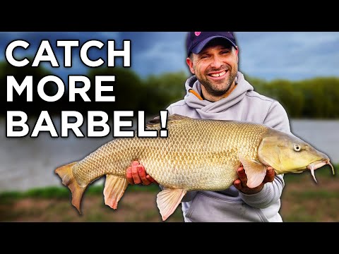 Barbel Fishing Is Easy - If You Get This Right!