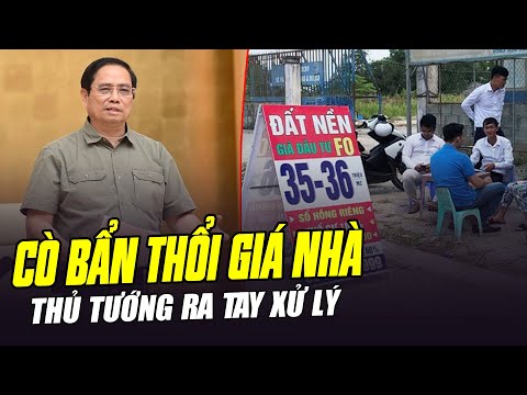 THỦ TƯỚNG RA TAY XỬ LÝ NẠN NGÁO GIÁ NHÀ ĐẤT: ĐÁM CÒ BẨN THỔI GIÁ SỢ CHƯA?