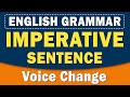 Understanding Imperative Sentences and Passive Voice