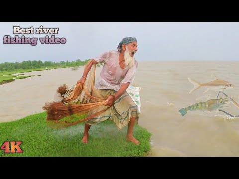 Natural catching method fish by cast net fishing in beautiful river - Best river fishing video
