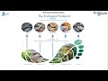 Ecological Impact and Sustainability Concepts