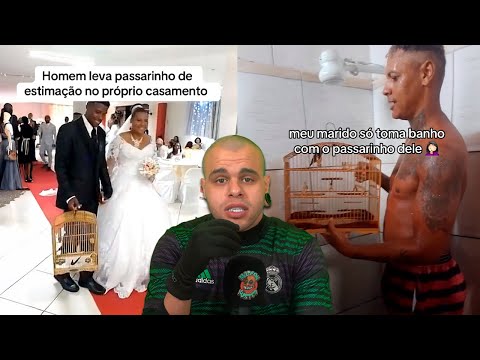investigando o submundo dos criadores de passarinhos ilegais