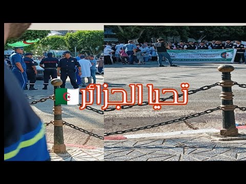 5 جويليا ملحمة ثورة ضد اعتى قوى العالم الحلف الاطلسي هزم واعلن استقلال الجزائر وان عدتم عدنا