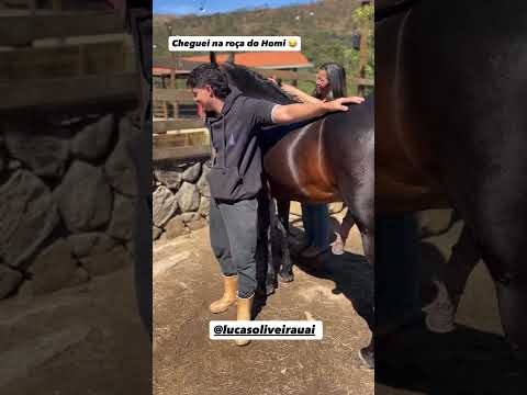 kkkkkkk Vai Alisar Cavalo🤠🐎🤣🤣🤣 #cavalo #pepe