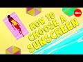 Understanding Sunscreen and Its Impact