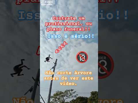 Antes de contratar alguém pra cortar sua árvore com motosserra veja este vídeo. #shorts