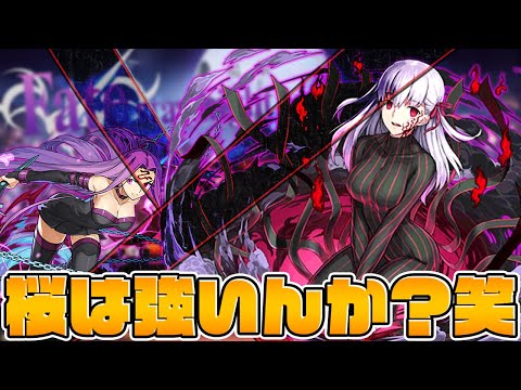 まだまだ強くなる！？強化後間桐桜ループで高火力無双してみた！【パズドラ】