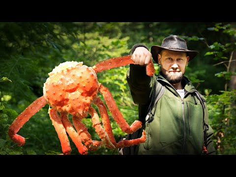 Das Verrückteste Surf and Turf das du je gesehen hast 🤯 Picanha trifft auf King Crab 🥩🦀