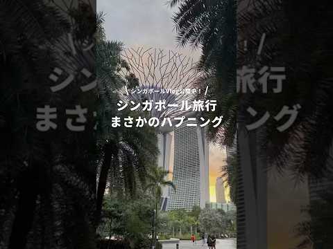 【シンガポールVlog】ハプニングも旅行の醍醐味！ #newt #旅行 #海外旅行 #シンガポール