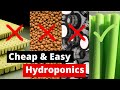 Hydroponics Techniques and Practices