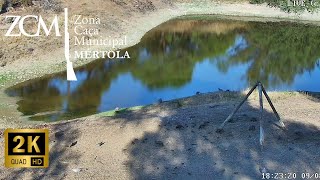 Zona de Caça de Mértola (2K c/ AUDIO) ▪ Centro Cinegético ▪ PRLIC (Parque Exterior)