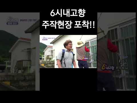 6시내고향 주작현장 포착!!