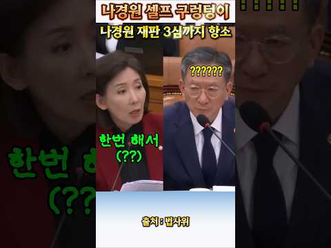 셀프 3심 예약한 나경원 #법사위 #나경원 #김용민 #정성호법무부장관