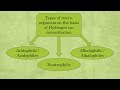 Microorganisms and pH Levels