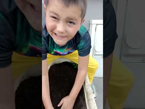 ont vous présente Ethan le jardinier