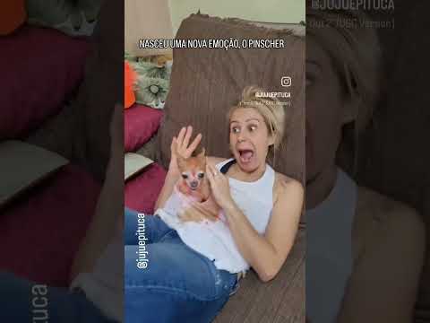 XD #xd