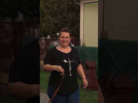 📍 Kopogtatás Tóthéknál. Dobozolás helyett aláírásgyűjtés.