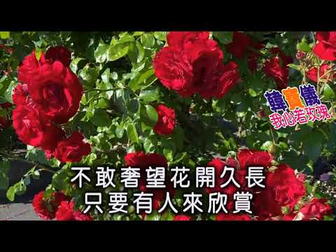 韓寶儀【我心若玫瑰】KARAOKE 伴奏純音樂卡拉OK伴唱帶KTV BestSongs Of HanBaoYi MUSICVIDEO Chinesemelodies