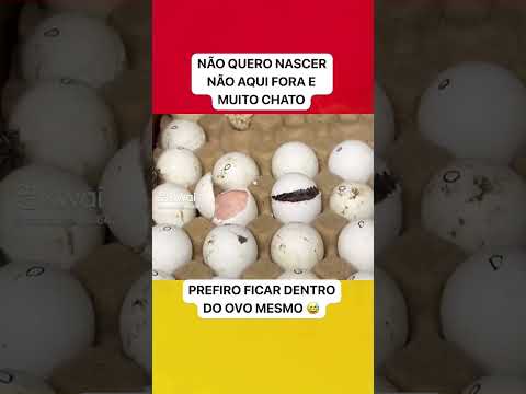 não quero sai quero ficar aqui dentro