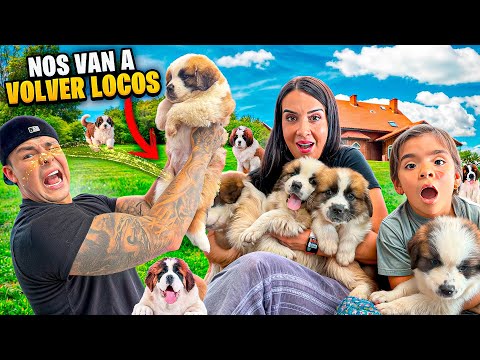 24 horas siendo PAPÁS de cachorros🐶¡ESTO PASO!😱