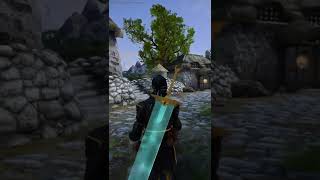 I Walk Through Skyrim Every Day Until Elder Scrolls 6 (Day 117)