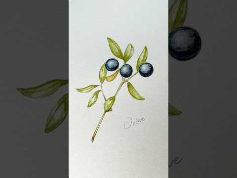 オリーブを描く|60代からの小さな冒険🫒✨ Botanical Art – Olive Sketch | Herbal Forest Life # #Short