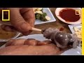 Understanding the Octopus and Its Culinary Role in Korea