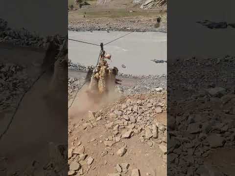 Nomadic Life Sheep hanging from a rope over the river! #NomadicLife #survivalskills #wildnature