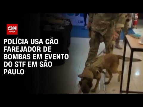 Polícia usa cão farejador de bombas em evento do STF em São Paulo | BASTIDORES CNN