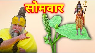 यह पत्ता सोमवार के दिन ले आना भगवान शिव ने मां पार्वती को बताया था, राजा बनते देर नहीं लगती करोड़पति