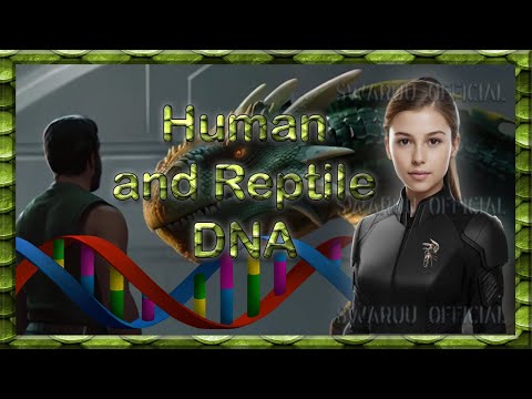 Human Genetic Compatibility with Reptilian Possessions (English) 🦎 🧍‍♂️ 🐉
